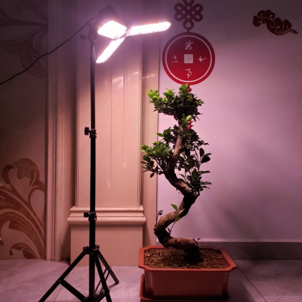 Light Bulb Stand 2M, E27 AC So - Photography Umbrella ulasan dan harga