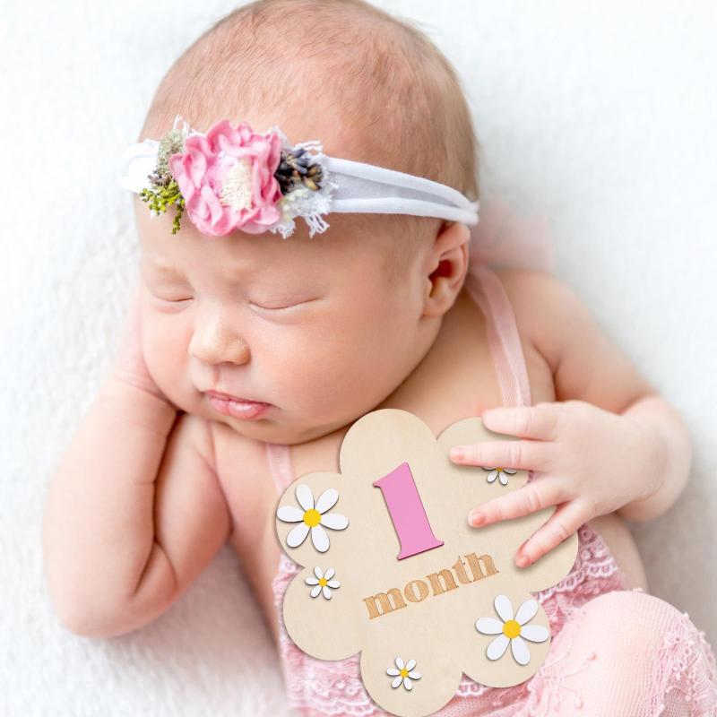 Wooden Baby Monthly Milestone  - Photography Cheat Sheet ulasan dan harga